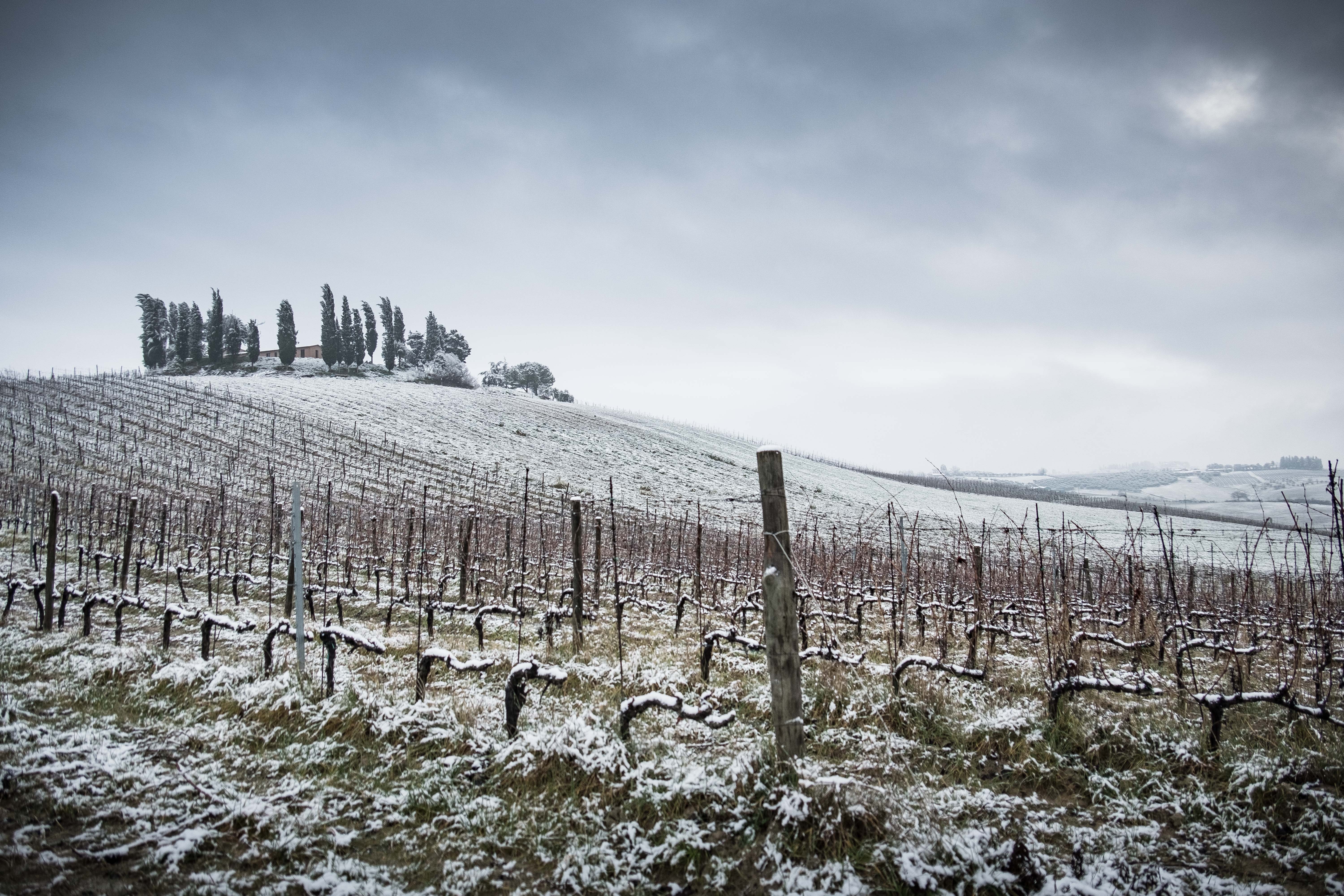 Tuscan Snowfall