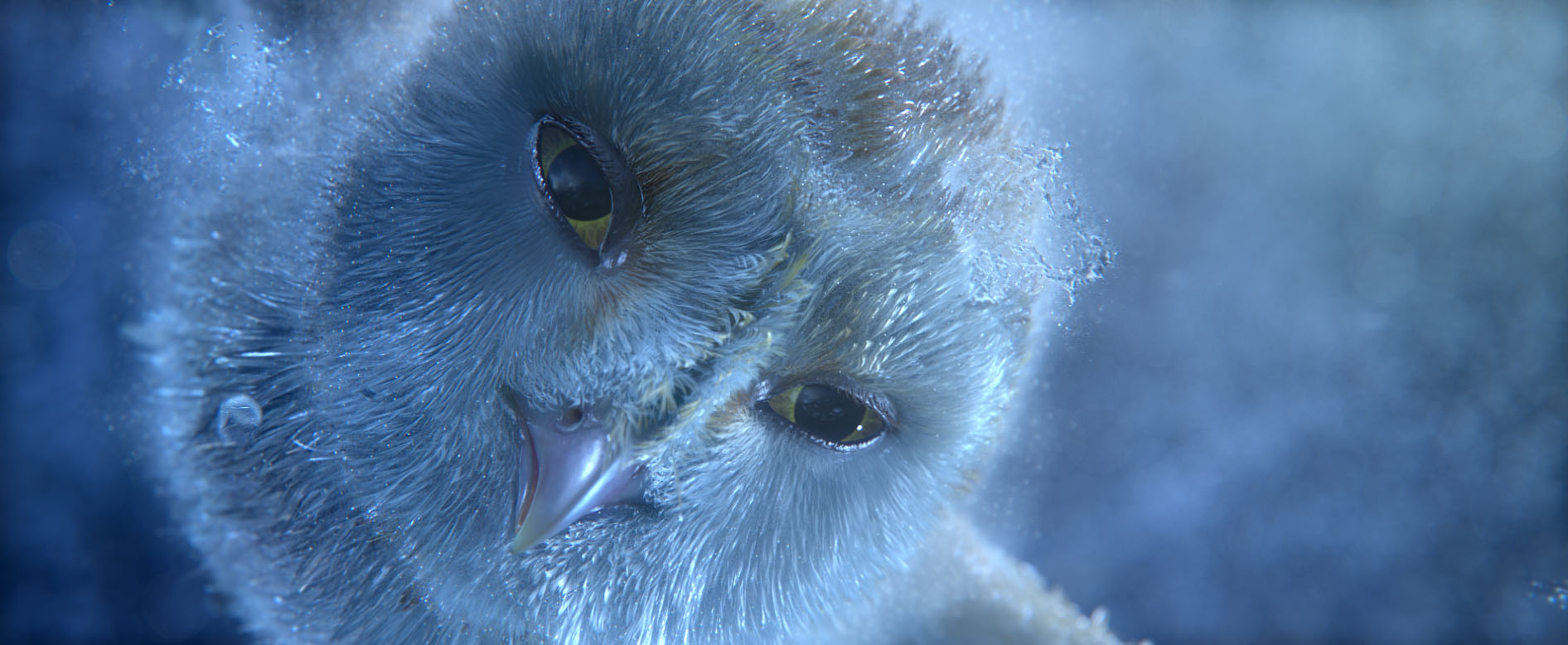 A close-up of a blue owl from Legend of the Guardians
